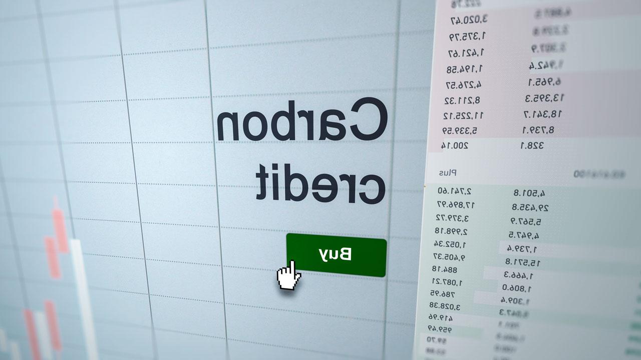 Analyzing a carbon credits etf fund on a computer screen